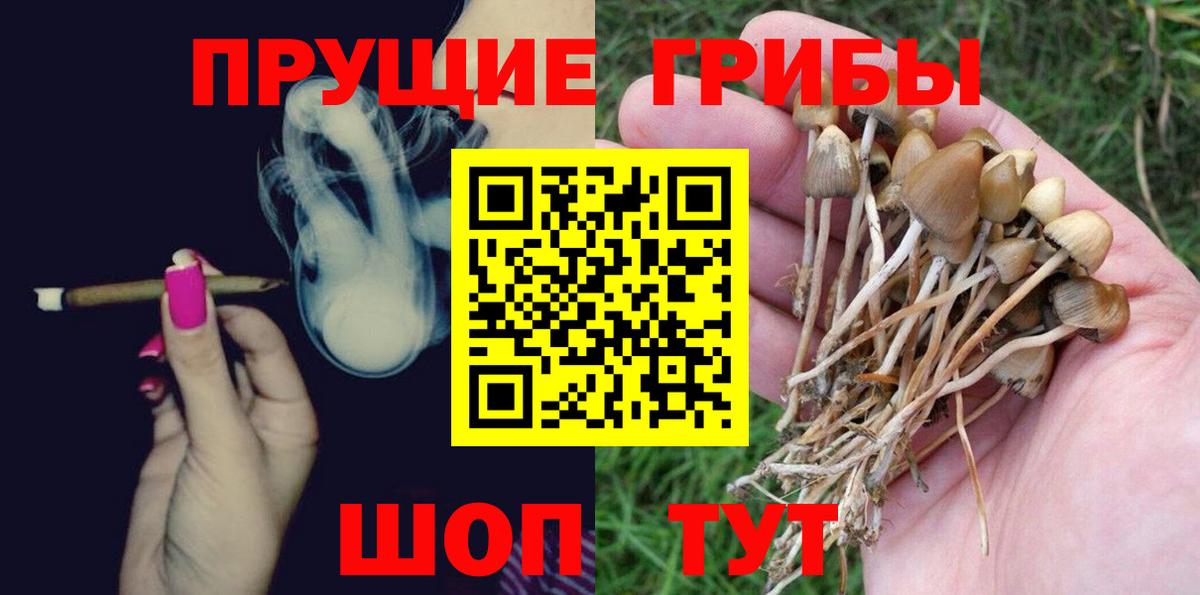 Псилоцибиновые грибы прущие грибы Советский