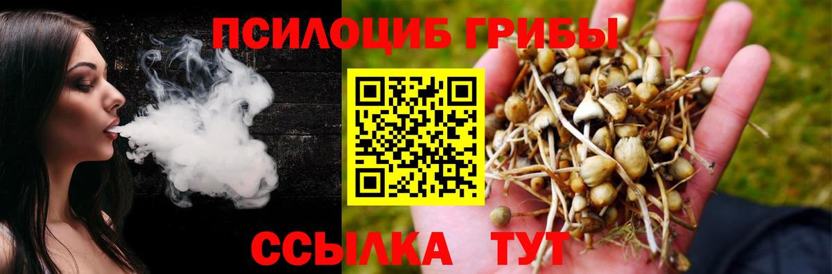 Галлюциногенные грибы GOLDEN TEACHER  Галлюциногенные грибы мухоморы  Советский  наркошоп  Вход с VPN 